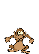 MACACO